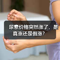 尿素价格突然涨了,是真涨还是假涨?(图2) 尿素价格突然涨了,是真涨还是假涨?(图2)