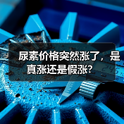 尿素价格突然涨了,是真涨还是假涨?(图4) 尿素价格突然涨了,是真涨还是假涨?(图4)