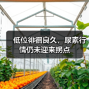 低位徘徊良久,尿素行情仍未迎来拐点(图4) 低位徘徊良久,尿素行情仍未迎来拐点(图4)