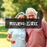 有机肥料-五梁红（图4）