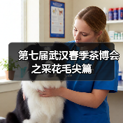 第七届武汉春季茶博会之采花毛尖篇（图2）