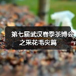 第七届武汉春季茶博会之采花毛尖篇（图4）