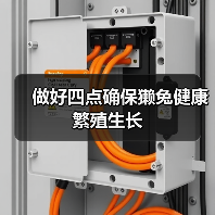 做好四点确保獭兔健康繁殖生长（图2）