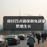 做好四点确保獭兔健康繁殖生长（图3）