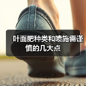 叶面肥种类和喷施需谨慎的几大点(图1) 叶面肥种类和喷施需谨慎的几大点(图1)