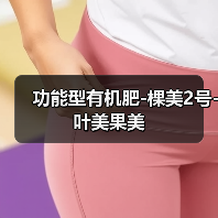功能型有机肥-棵美2号-叶美果美(图3) 功能型有机肥-棵美2号-叶美果美(图3)