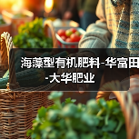 海藻型有机肥料-华富田-大华肥业(图3) 海藻型有机肥料-华富田-大华肥业(图3)