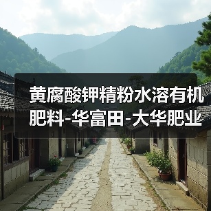 黄腐酸钾精粉水溶有机肥料-华富田-大华肥业（图4）
