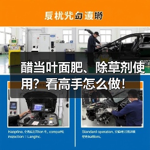 醋当叶面肥、除草剂使用?看高手怎么做!(图1) 醋当叶面肥、除草剂使用?看高手怎么做!(图1)