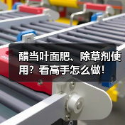 醋当叶面肥、除草剂使用?看高手怎么做!(图4) 醋当叶面肥、除草剂使用?看高手怎么做!(图4)