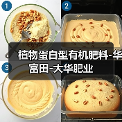 植物蛋白型有机肥料-华富田-大华肥业(图2) 植物蛋白型有机肥料-华富田-大华肥业(图2)