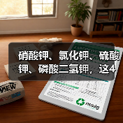 硝酸钾、氯化钾、硫酸钾、磷酸二氢钾,这4种钾肥,有啥不一样?(图2) 硝酸钾、氯化钾、硫酸钾、磷酸二氢钾,这4种钾肥,有啥不一样?(图2)