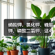硝酸钾、氯化钾、硫酸钾、磷酸二氢钾,这4种钾肥,有啥不一样?(图4) 硝酸钾、氯化钾、硫酸钾、磷酸二氢钾,这4种钾肥,有啥不一样?(图4)