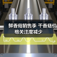 鲜香菇销售季 干香菇价格关注度减少（图2）