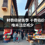鲜香菇销售季 干香菇价格关注度减少（图4）