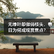 无绿叶却傲俏枝头，春日为何成观赏焦点？（图2）