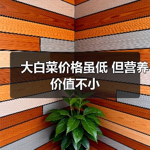 大白菜价格虽低 但营养价值不小（图1）