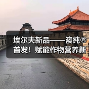 埃尔夫新品——澳纯®首发!赋能作物营养新变革(图1) 埃尔夫新品——澳纯®首发!赋能作物营养新变革(图1)