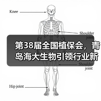 第38届全国植保会,青岛海大生物引领行业新风尚!(图1) 第38届全国植保会,青岛海大生物引领行业新风尚!(图1)