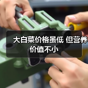 大白菜价格虽低 但营养价值不小（图3）