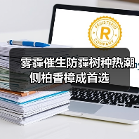 雾霾催生防霾树种热潮侧柏香樟成首选(图2) 雾霾催生防霾树种热潮侧柏香樟成首选(图2)