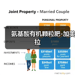 氨基酸有机颗粒肥-加美拉(图4) 氨基酸有机颗粒肥-加美拉(图4)
