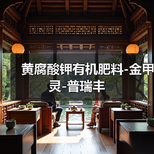 黄腐酸钾有机肥料-金甲灵-普瑞丰（图1）