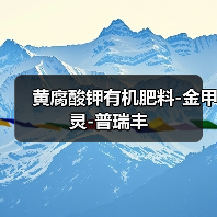 黄腐酸钾有机肥料-金甲灵-普瑞丰（图2）