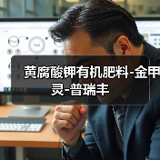 黄腐酸钾有机肥料-金甲灵-普瑞丰（图3）