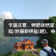 乍暖还寒,钾肥依然坚挺/附最新钾盐(肥)、中微量元素原料指导价(11月23日)(图2) 乍暖还寒,钾肥依然坚挺/附最新钾盐(肥)、中微量元素原料指导价(11月23日)(图2)