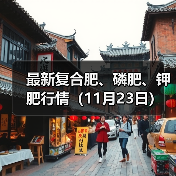 最新复合肥、磷肥、钾肥行情（11月23日）（图1）
