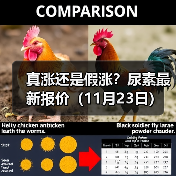 真涨还是假涨?尿素最新报价(11月23日)(图1) 真涨还是假涨?尿素最新报价(11月23日)(图1)