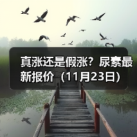 真涨还是假涨?尿素最新报价(11月23日)(图2) 真涨还是假涨?尿素最新报价(11月23日)(图2)