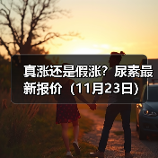真涨还是假涨?尿素最新报价(11月23日)(图3) 真涨还是假涨?尿素最新报价(11月23日)(图3)