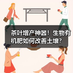 茶叶增产神器！生物有机肥如何改善土壤？（图2）