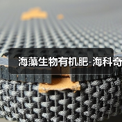 海藻生物有机肥-海科奇(图4) 海藻生物有机肥-海科奇(图4)
