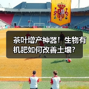 茶叶增产神器！生物有机肥如何改善土壤？（图4）