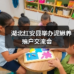 湖北红安县举办泥鳅养殖户交流会(图1) 湖北红安县举办泥鳅养殖户交流会(图1)