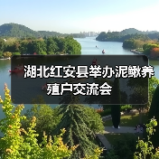 湖北红安县举办泥鳅养殖户交流会(图3) 湖北红安县举办泥鳅养殖户交流会(图3)