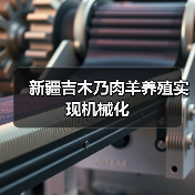 新疆吉木乃肉羊养殖实现机械化(图2) 新疆吉木乃肉羊养殖实现机械化(图2)