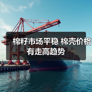 棉籽市场平稳 棉壳价格有走高趋势(图2) 棉籽市场平稳 棉壳价格有走高趋势(图2)