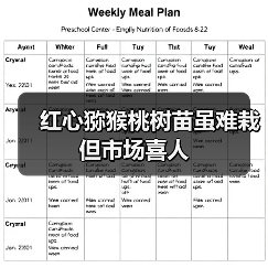 红心猕猴桃树苗虽难栽 但市场喜人（图3）