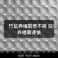 竹鼠养殖前景不明 投资养殖需谨慎（图1）