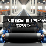 大量新鲜山楂上市 价格不降反涨(图1) 大量新鲜山楂上市 价格不降反涨(图1)