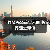 竹鼠养殖前景不明 投资养殖需谨慎 竹鼠养殖前景不明 投资养殖需谨慎