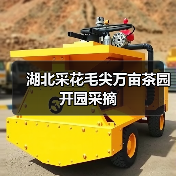 湖北采花毛尖万亩茶园开园采摘(图1) 湖北采花毛尖万亩茶园开园采摘(图1)
