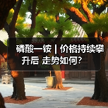 磷酸一铵 | 价格持续攀升后 走势如何？（图2）