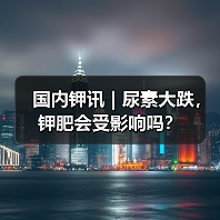国内钾讯 | 尿素大跌,钾肥会受影响吗?(图2) 国内钾讯 | 尿素大跌,钾肥会受影响吗?(图2)