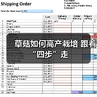 草菇如何高产栽培 跟着“四步”走(图1) 草菇如何高产栽培 跟着“四步”走(图1)