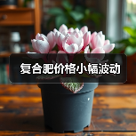 复合肥价格小幅波动（图4）